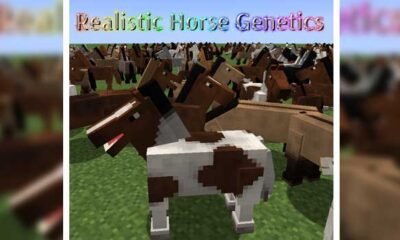 Realistic Horse Genetics Mod